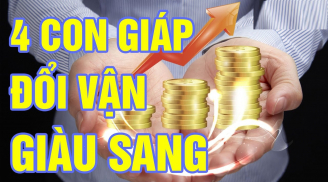 Tháng 6 Nhuận thuận nước đẩy thuyền: 4 tuổi Tiền - Tình mỹ mãn