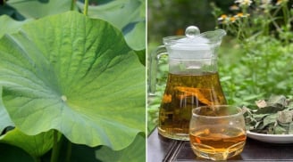 Lấy lá sen đun nước uống, cơ thể nhận được 4 lợi ích tuyệt vời