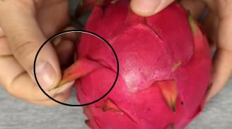 Ra chợ thấy thanh long có điểm này thỏa mái mua về, không lo ủ thuốc