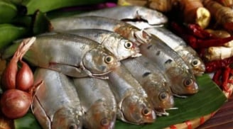 7 loại cá phải mua ngay nếu bắt gặp ở chợ: Dinh dưỡng ngang nhân sâm, rẻ hơn tổ yến, không chứa hóa chất