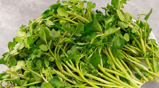 Loại rau rẻ ở chợ Việt được Mỹ công nhận 'nữ hoàng rau xanh', giàu canxi hơn sữa, trồng 1 lần ăn quanh năm