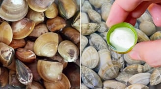 Ngâm ngao đừng dùng nước lã, thêm vài giọt này, ngao nhả cát cực nhanh