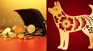 Sự nghiệp phất lên như diều gặp gió: 3 con giáp quý nhân vây quanh trước ngày 10/8