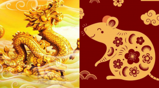 15 ngày đầu tháng 8 (1-15/8): 4 con giáp giàu bất thình lình không kịp trở tay, số 1 tắm trong tiền