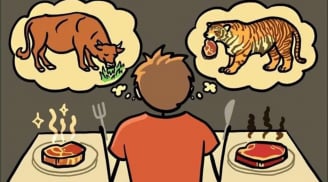Con người thường ăn động vật ăn cỏ: Vậy nếu ăn động vật ăn thịt thì sao?