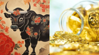 35 ngày tới: 4 con giáp từ nợ nần hóa dư dả chỉ sau 1 đêm, tài lộc như nước lũ tràn về