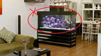 5 vật cấm kỵ tuyệt đối không đặt dưới chân bàn thờ: Phạm phải gia đạo lục đục, tài lộc tiêu tan