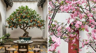 Cổ nhân nói không sai: Nhà trồng 3 loại cây, 10 người thì 9 sẽ giàu sang phú quý, nhà nào cũng nên trồng