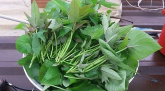 Đi chợ gặp 8 loại rau này nên mua ngay: Tươi sạch, không thuốc, ăn cực yên tâm
