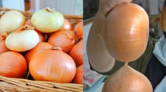 Mẹo bảo quản hành tây nửa năm không hỏng