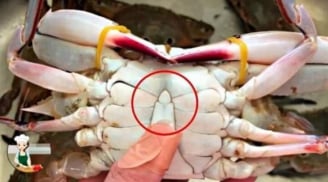 Mua cua ghẹ đừng chọn con to! 4 mẹo chọn cua ghẹ béo chắc, nhiều thịt ai cũng cần biết
