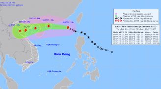 Tin mới nhất: Bão số 3 - bão Wipha mạnh như thế nào? Dự báo thời điểm bão đổ bộ vào đất liền