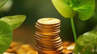 Bạn có phải là người Hấp dẫn tiền bạc không? 3 đặc điểm vàng khiến Giàu có tự tìm tới, bạn có không?
