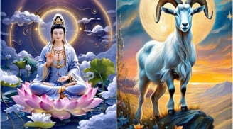Nương Mình Theo Gió, Hoa Rơi Cửa Phật: 3 tuổi Quan Âm Độ Mạng, chẳng bon chen cũng giàu sang
