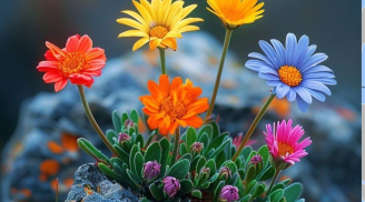 3 Con Giáp Càng Già Càng Giàu, Uy Danh Lẫy Lừng, con cháu quây quần, Phúc Lớn Mệnh Lớn