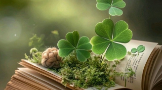 3 cung hoàng đạo có Nội Lực Mạnh Mẽ, Tự Chữa Lành và là Chỗ Dựa Tinh Thần cho người khác