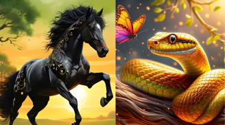  Giữa tuần rực rỡ (Thứ 4, Thứ 5): 3 tuổi Công Danh Giàu có Thẳng Tiến, 2 tuổi cẩn thận họa từ miệng