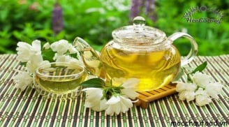 7 tác dụng tốt của trà hoa nhài đối vơi sức khỏe