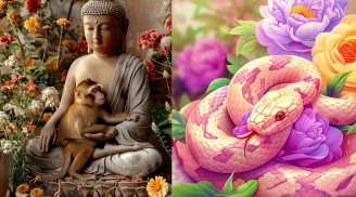 Bính Ngọ 2026: 3 tuổi cực đỏ, làm đâu thắng đó, trúng lớn phát tài, 1 tuổi giáp lao đao, nằm im chờ thời