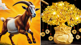 Từ 25/7 đến 15/8, 2 tuổi Lộc Lá vô biên, lắm tiền nhiều của, 1 tuổi phải thận trọng