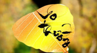 Hiểu Vô thường, bạn sẽ có được 3 điều lợi ích này