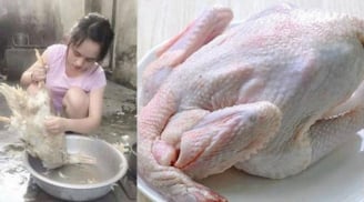 Lấy nắm lá này cho vào nước, vặt lông vịt sạch trơn trong tích tắc: Không còn lông măng, không lo mùi hôi