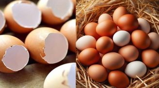 Công dụng tuyệt vời của vỏ trứng gà: Đừng vội vứt bỏ mà lãng phí