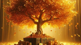 Nghèo lâu giàu thì nhanh: 3 tuổi ì ạch túng thiếu, tới tuổi 45 đổi đời giàu nhanh, tiếng tăm vang dội