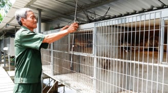 Nuôi chồn hương – Bước ngoặt làm giàu của lão nông Vĩnh Long bất chấp vợ phản đối