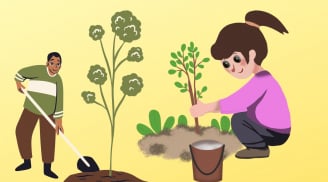 Trồng 5 loại cây ăn quả này trong nhà: Tốt phong thủy, Tăng Sức khỏe,Hoa đẹp quả ngon, trồng ngay kẻo tiếc