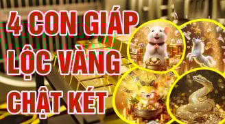 Từ 28/7 đến 3/8: 4 tuổi Đầu tuần Rộn Ràng Hứng Lộc, cuối tuần rung đùi Tiền về tận nơi
