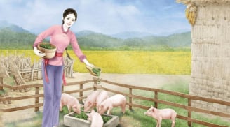 Các cụ nói: 'Mua lợn xem chuồng, cưới vợ xem sân', sự thật là gì?