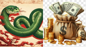 Từ 0h ngày 1/8: 4 con giáp mở cửa là tiền tràn vào nhà, làm giàu nhẹ tênh đến cuối năm 2025