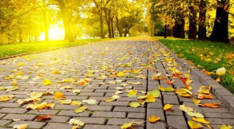 Ngày 7/8 là Lập thu, có phải mùa hè nắng nóng sẽ kết thúc?