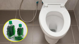 Tại sao nên nhỏ vài giọt dầu gió vào bồn cầu? Có lợi ích tuyệt vời mà nhiều người không biết