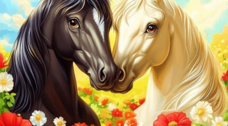 Từ 4-10/8: 1 tuổi Tài lộc Bùng nổ, tình cảm thăng hoa, 2 tuổi bất ngờ được thăng chức