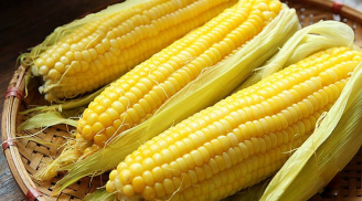 Cách luộc ngô ngon ngọt