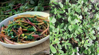 Loại rau mọc dại cho không ai lấy, giờ được săn lùng quý như 'thần dược' của sức khỏe