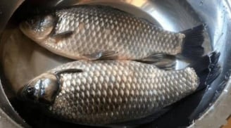 Thịt lợn chớ mua thịt cổ, cá đừng chọn cá diếc' – Lời dạy xưa hé lộ bí quyết mua thực phẩm chuẩn