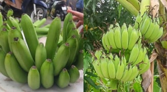 Những lưu ý chọn chuối thắp hương để hợp phong thủy, rước may mắn, tránh xui xẻo