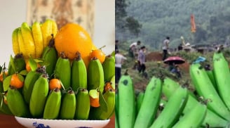 Tháng 7 âm lịch, tảo mộ người thân tránh mang chuối ra thắp hương, người xưa đã dặn, vì sao lại thế?