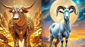 Từ 0h ngày 5/8: 3 tuổi được vũ trụ tiếp năng lượng, làm gì cũng hanh thông; 1 tuổi gặp quý nhân