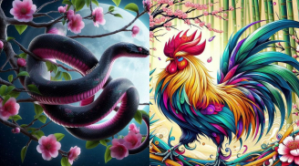 Từ 7-27/8: 2 tuổi đỏ như son, vàng rơi vào đầu, 2 tuổi cần chi khoản tiền lớn, chú ý cẩn trọng