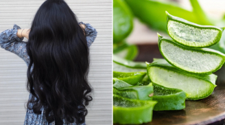5 cách dùng nha đam cho tóc yếu, gãy rụng, giúp tóc con mọc ầm ầm