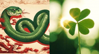 Sau tuổi 50: 3 con giáp tiền trong tài khoản rủ nhau lên đồng nhanh hơn giá vàng tang, giàu đến mãn kiếp