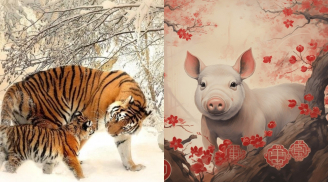 Từ thứ Năm (7/8) đến Chủ Nhật (10/8): 4 con giáp kiếm tiền thần tốc, cuối tuần giàu đến ngột ngạt