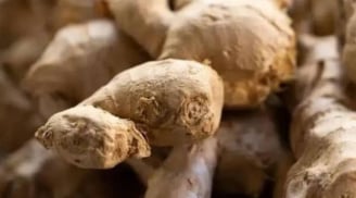 5 loại thực phẩm quen thuộc cực độc khi bị mốc – Mùa hè nhà ai còn giữ thì nên bỏ ngay!