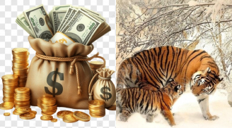 0h Thứ Bảy (9/8): 4 con giáp được Phật Bà độ kiếm tiền nhanh hơn giá vàng tăng giá, Chủ Nhật đời lên hương