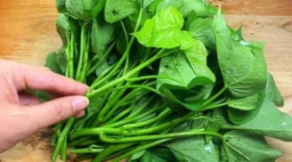 Loại “rau từng cho lợn ăn” biến thành siêu thực phẩm, Mỹ thu mua 1 triệu/kg