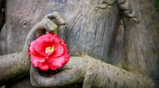 Để sống một cuộc đời an vui, hãy từ bỏ 5 điều sân hận này